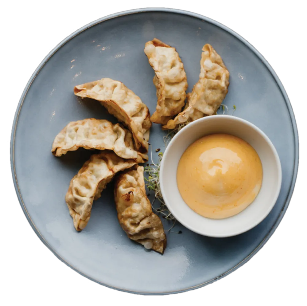 Gyoza
