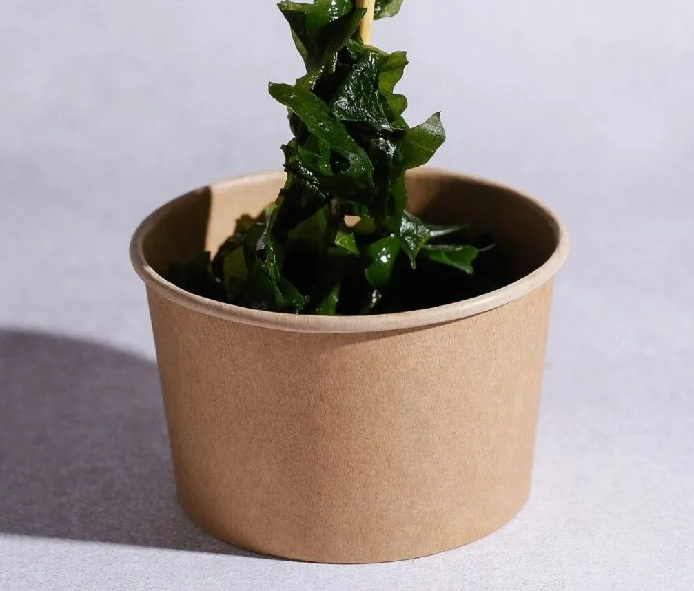 WAKAME NO SUNOMONO