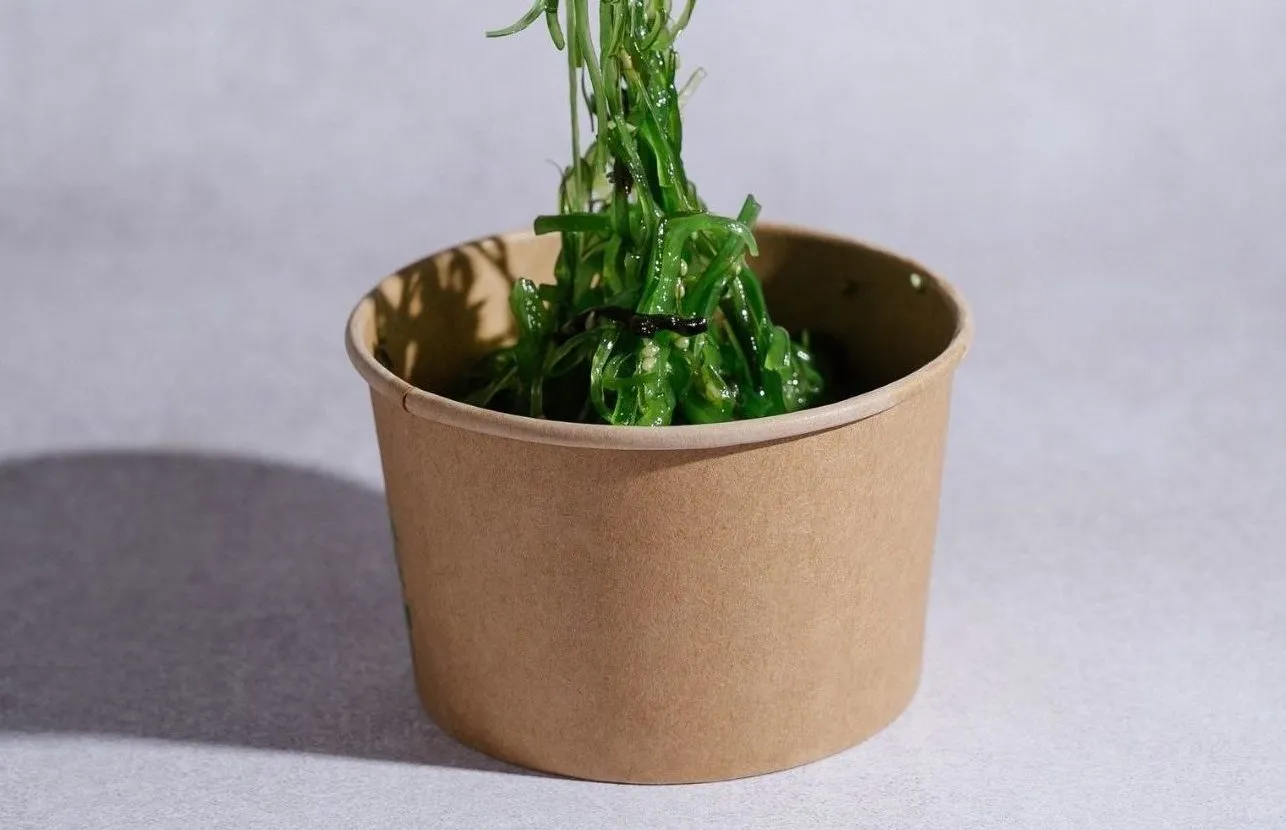 GOMA WAKAME